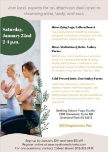 Mind, Body, and Soul Detox Workshop @ Seeking Solace Yoga Studio